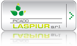 Picado Laspiur